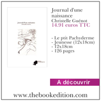 "Journal d'une naissance", 2011, auto-édition