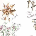 Lire la suite à propos de l’article La saga des épices